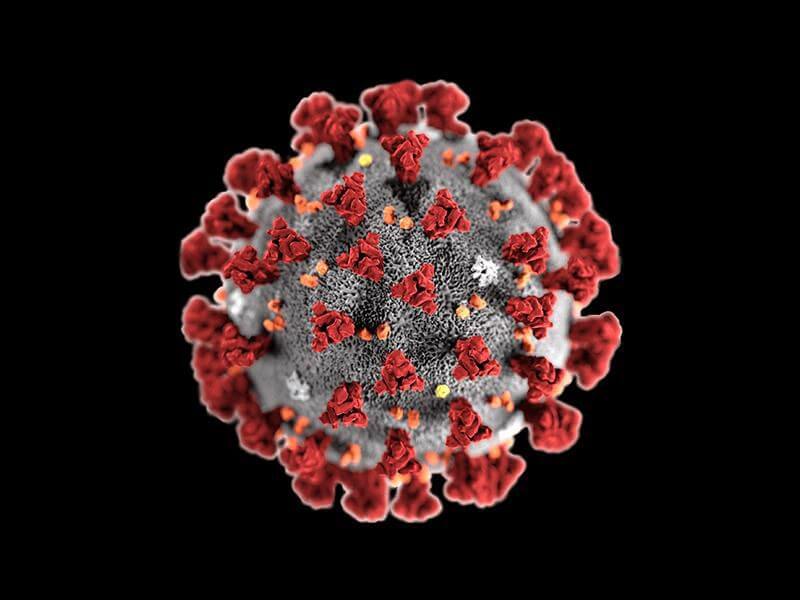 Corona Virus Update Michigan: Chronology of Drop In Covid Cases in February