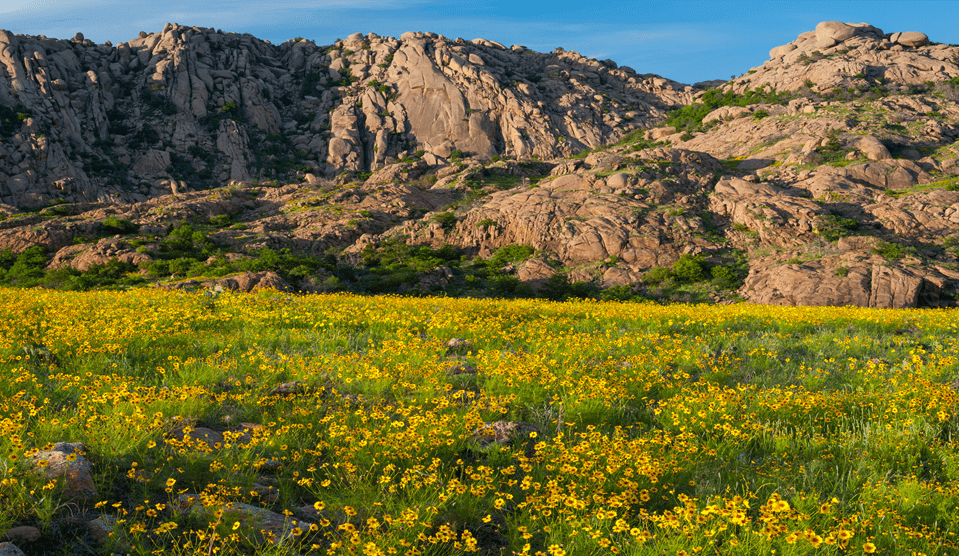 Plan Your Visit to The Wichita Mountains Wildlife Refuge +1 (888) 682 6156