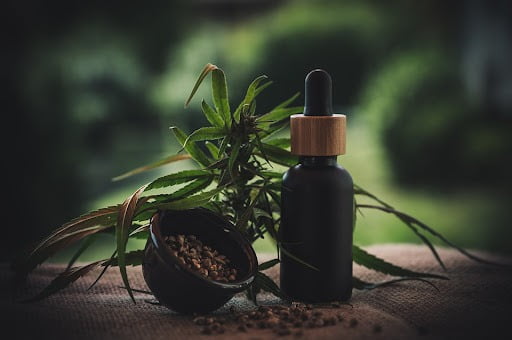 Choosing a CBD Oil: 10 Favorite Oils to Try in 2022