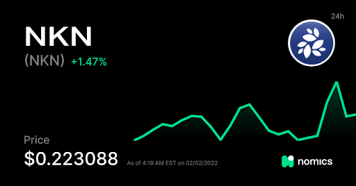 Intrigued to know about NKN Price Prediction?