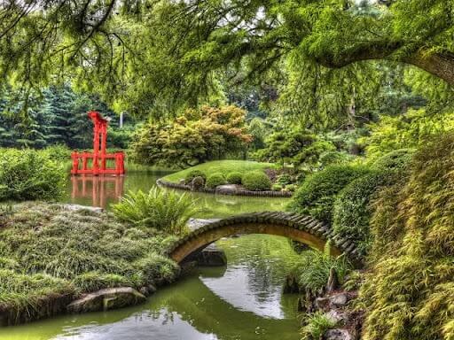 Have you still not visited Brooklyn Botanic Garden? +1-866-869-5359