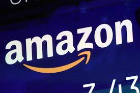 What is the Amazon Stock?