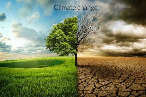 What is the current status of Climate change?