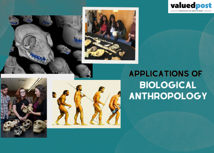 Applications of Biological Anthropology