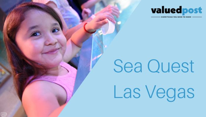 SeaQuest Las Vegas