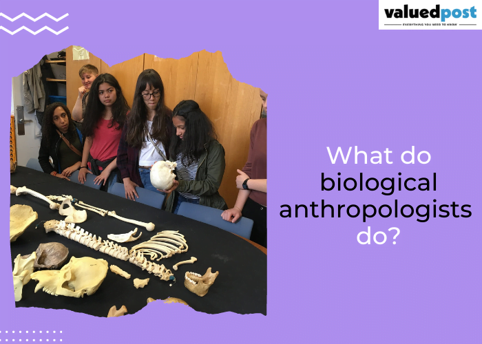 What is Biological Anthropology