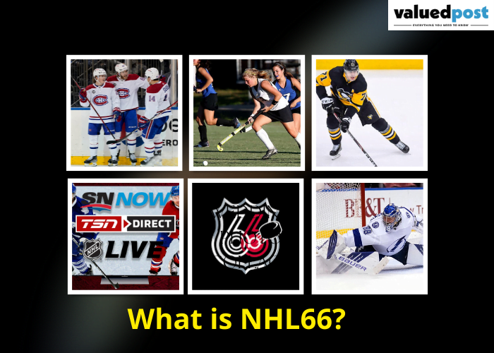 how does nhl66 work