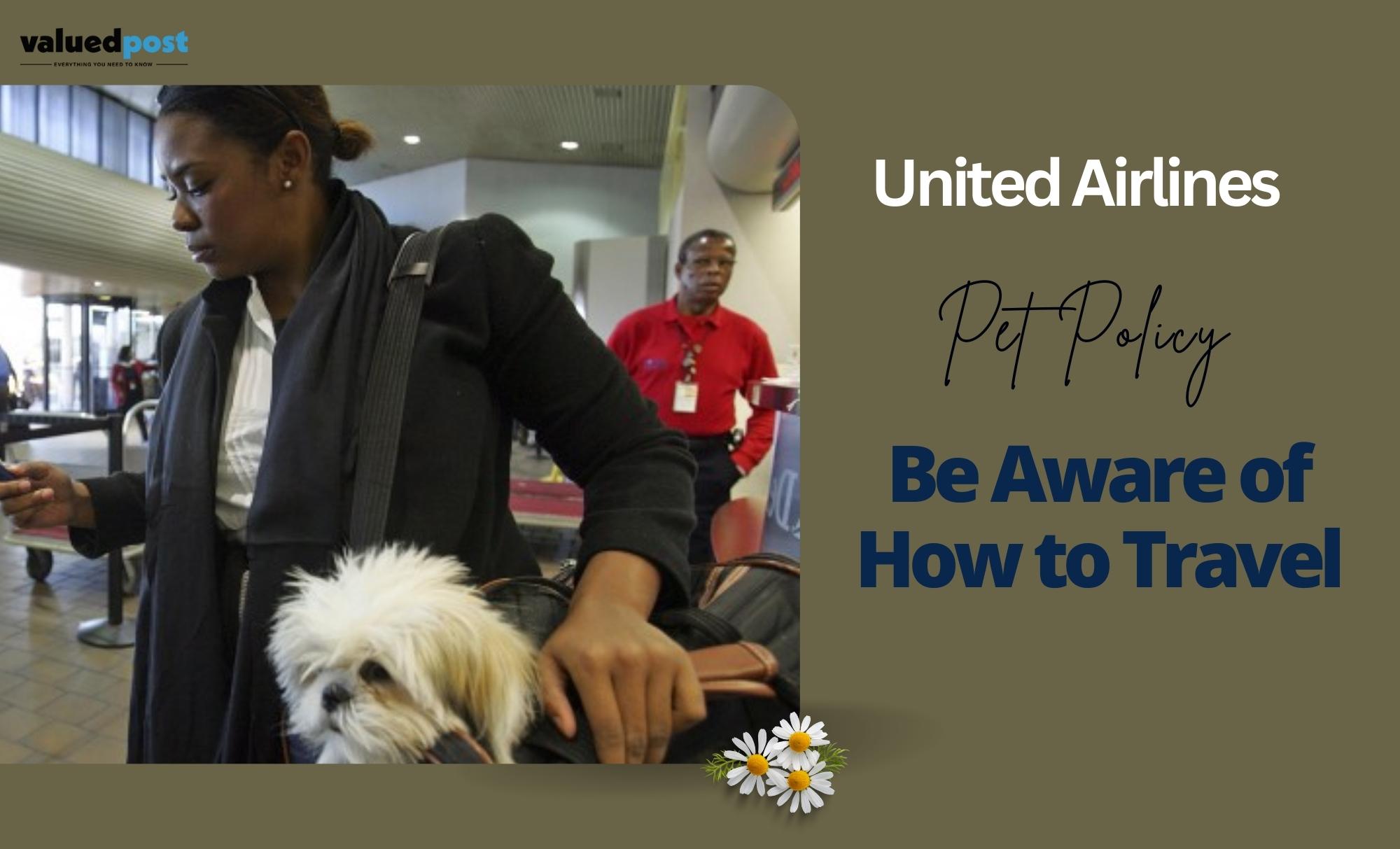 United Airlines Pet Policy: Be Aware of How to Travel with Your Pet Call +1-844-957-7060