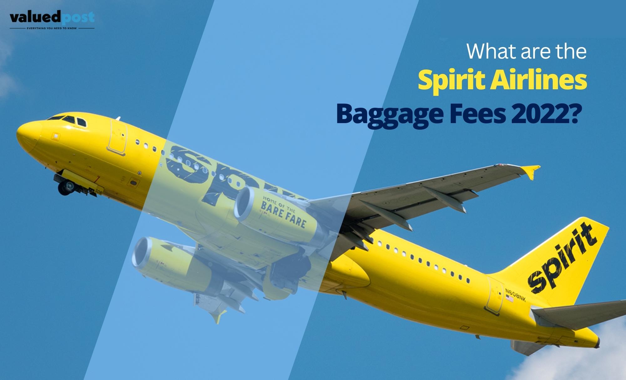 Call +18668695359 & Get Spirit Airlines Baggage Fees Waived Off