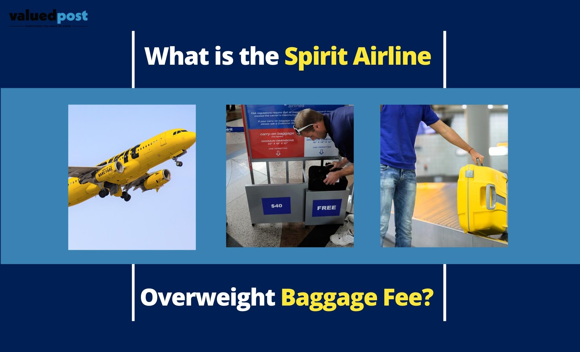 Call +18668695359 & Get Spirit Airlines Baggage Fees Waived Off