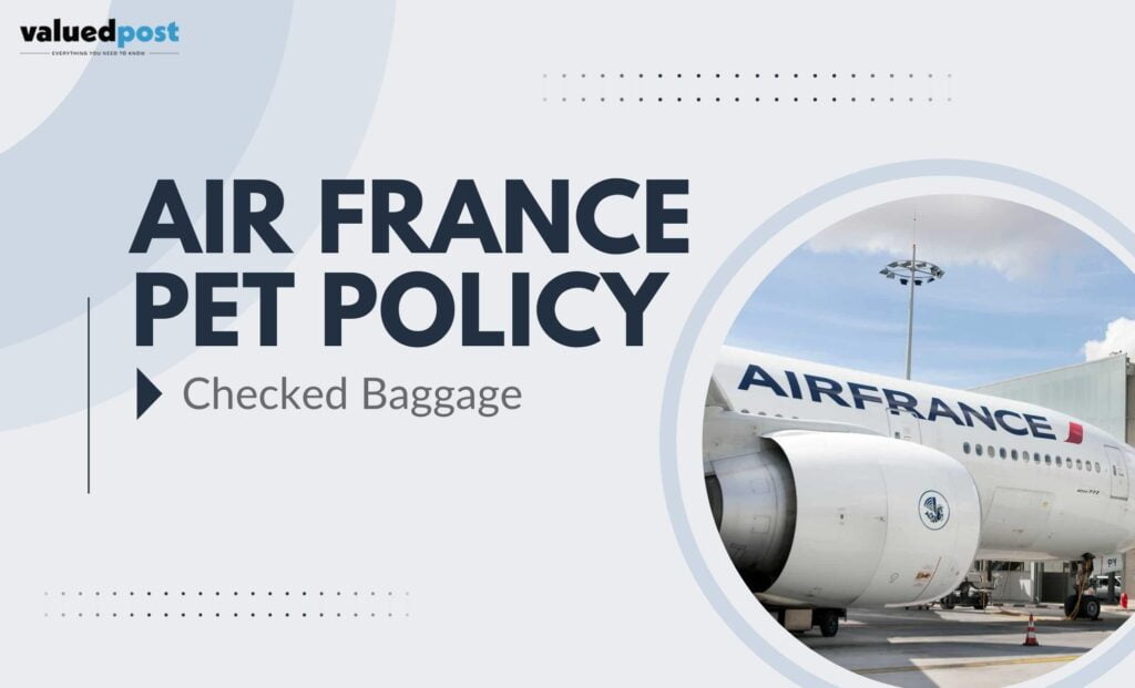 Air France Pet Policy: Checked Baggage
