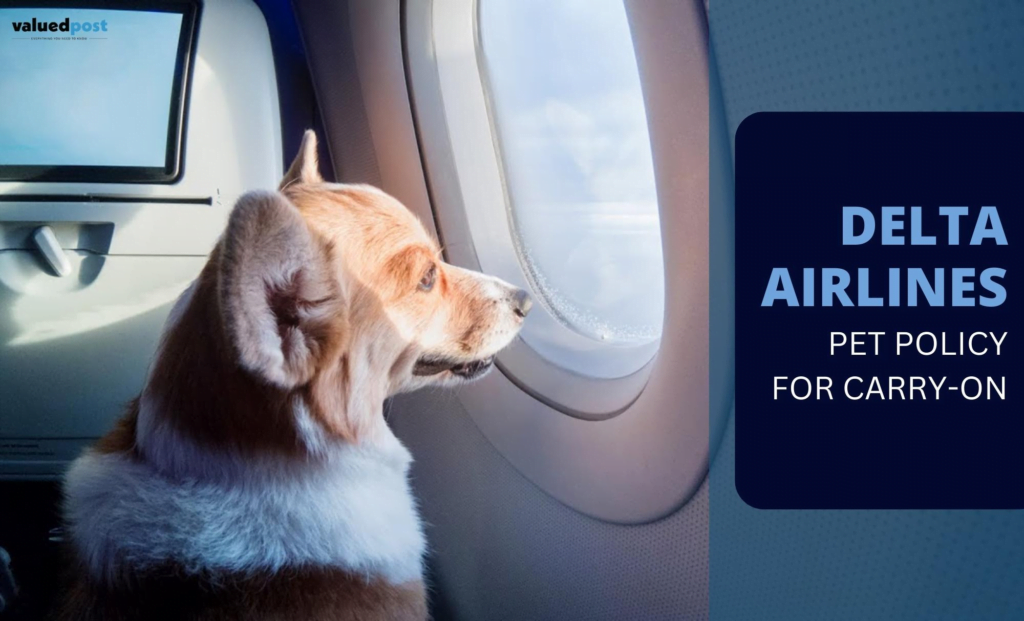 Delta Airlines Pet Policy for Carry-on