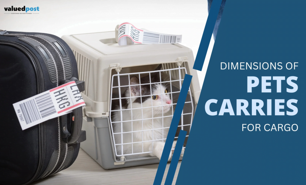 Dimensions Of Pet Carriers for Cargo